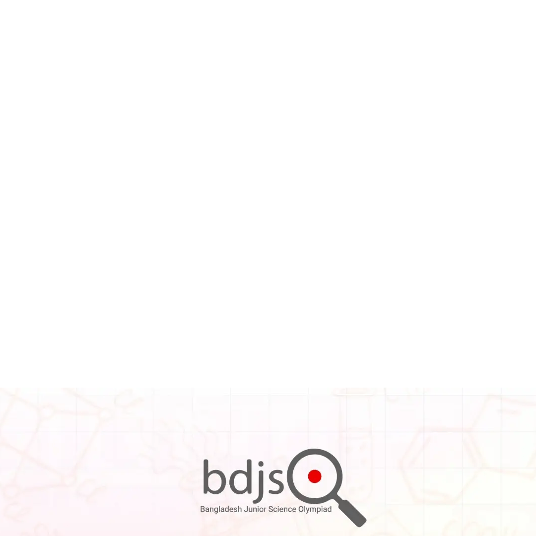 BdJSO 2026 preview